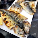 너 고등어 나 삼치