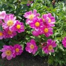 충주 행복한 농장 이미지