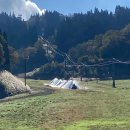 화이트피아 이미지