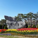 주정차63 이미지