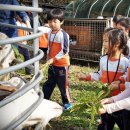 꿈나무농장 이미지