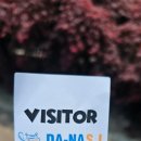 다나에스 이미지