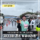 보덕동행정복지센터 | 2026년 제33회 경주벚꽃마라톤 완주 후기 및 기록 조회 방법 알려드림