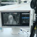 수요무대 이미지