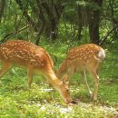 고유종농장 이미지