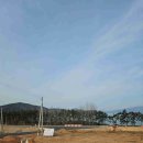 간척초등학교 이미지