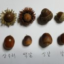 (주)참나무 이미지