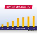 히어로 멀티짐 이미지