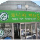 기남농장 Daum카페