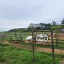 신선목장 이미지