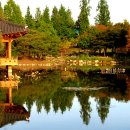 수목원 이미지