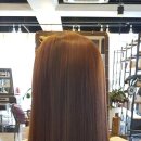 스펠라헤어메디컬 이미지