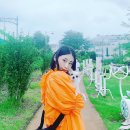 몽샤르망 애견유치원 이미지