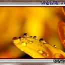 보물찾기 이미지