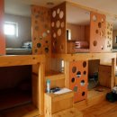 물고기나무 이미지