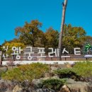 왕궁포레스트 이미지