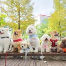 퍼밀리 이미지