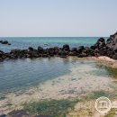 생명의 바다 1.2 이미지