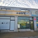 금무리농장 | 남양주 파충류샵 수염농장 파충류분양 후기, 도마뱀 분양부터 사육장·먹이·용품·은신처까지