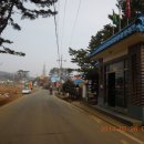 시목회관앞 이미지