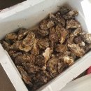 석화미용실 이미지