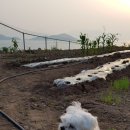 산이네농장 이미지