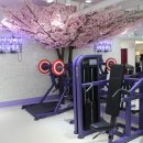 행짐(행GYM) 이미지