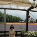 명성3농장 이미지