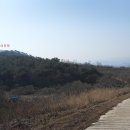 시루봉농장 Daum카페
