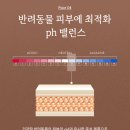 애옹이발소 이미지