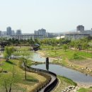 한밭수목원1 이미지