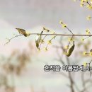 세미기획