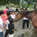 찬빈태권도체육관 이미지