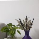 선물 | 실내디퓨저 추천 센스있는 선물 후기