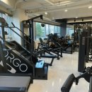 데이포짐 이미지