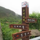 종합  안내판 이미지