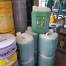 서진 카포스 이미지