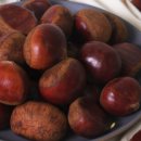 공주농장 이미지