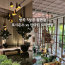 궁전스트레칭 | [태국 방콕 여행] 포시즌스 vs 만다린 오리엔탈 비교