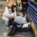 대원오토바이 이미지