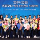 한국인삼총