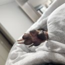 신영목욕탕 이미지