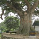 고목경로당 이미지