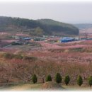 서일목장 이미지