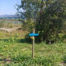 원주굽이길 18코스 반계리은행나무길 | 원주굽이길 18코스 - 반계리은행나무길