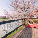 봄정형외과의원 이미지