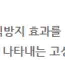 극동지하수