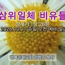 설교 제목은 '삼위일체 비유들'(20261011/창1:26/주일예배 전체실황 음성파일/가정별 예배에 활용) 이미지