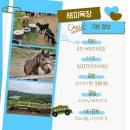해피농장 | 춘천 여행 해피초원목장에서 귀여운 동물과 멋진 뷰 바라기.