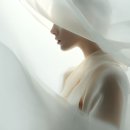 현대힐세탁 | 퍼퓸드말리 발라야 향수 시향 후기. 새하얀 실크 같은 화이트 플로럴